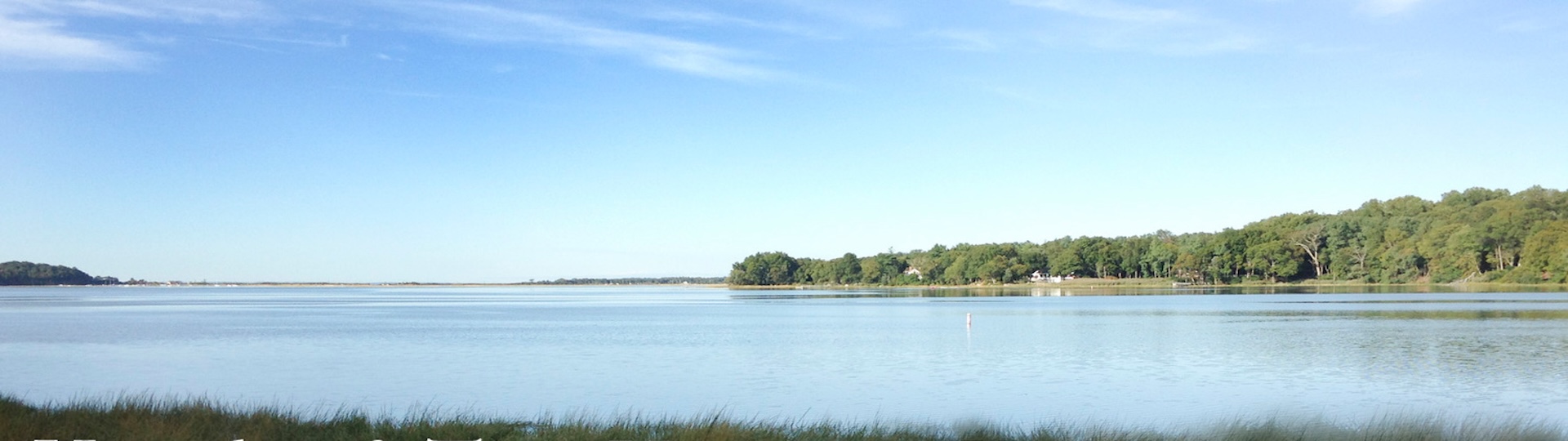 Head of the Harbor